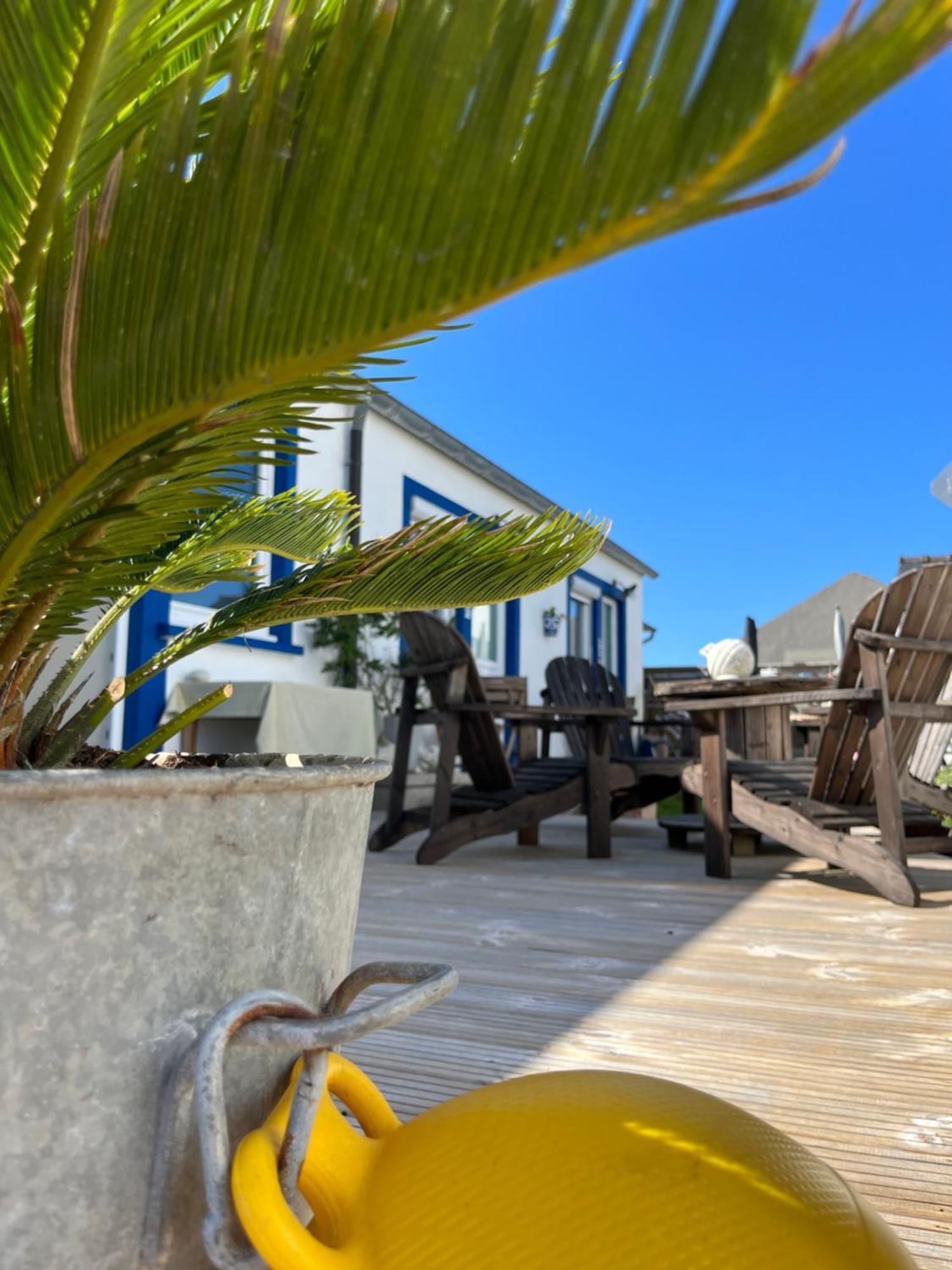 L'Atelier De Mezareun Bed & Breakfast Ushant Exterior foto