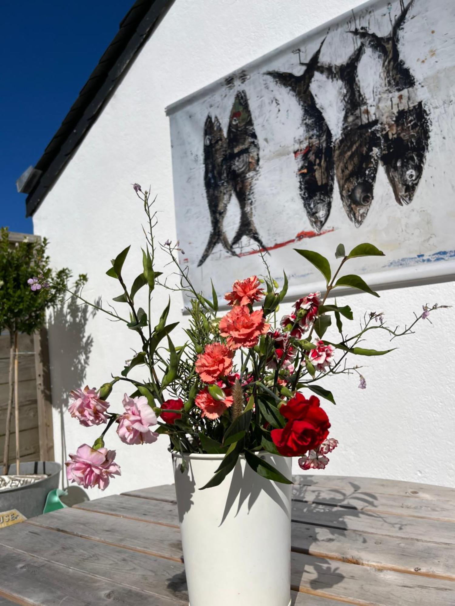 L'Atelier De Mezareun Bed & Breakfast Ushant Exterior foto